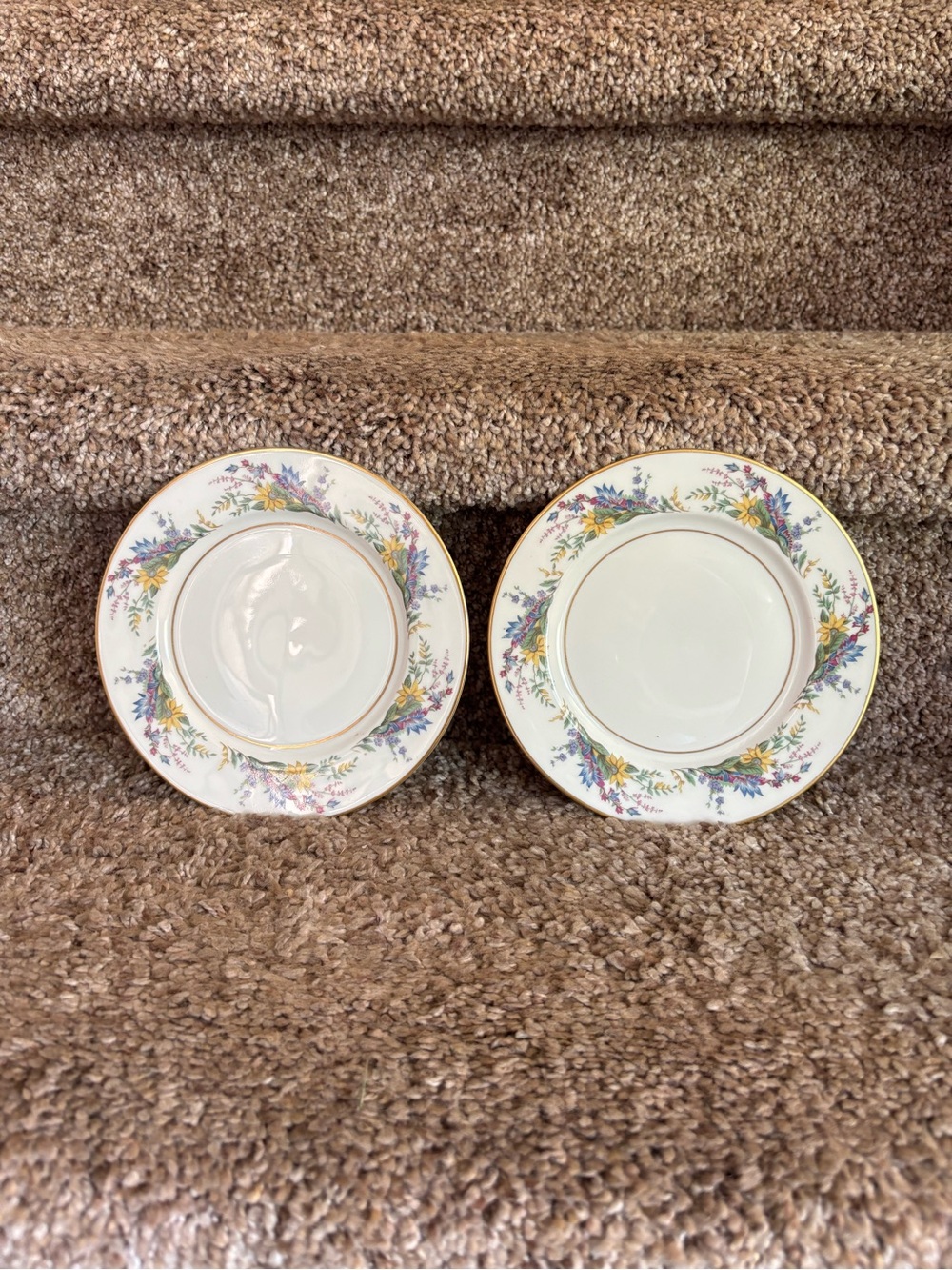 Fine Porcelain Floral Salad/Dessert Plates in Cream with Gold Trim